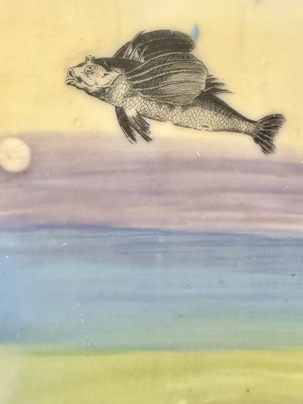 When Fish Fly by Sue Warhaftig
