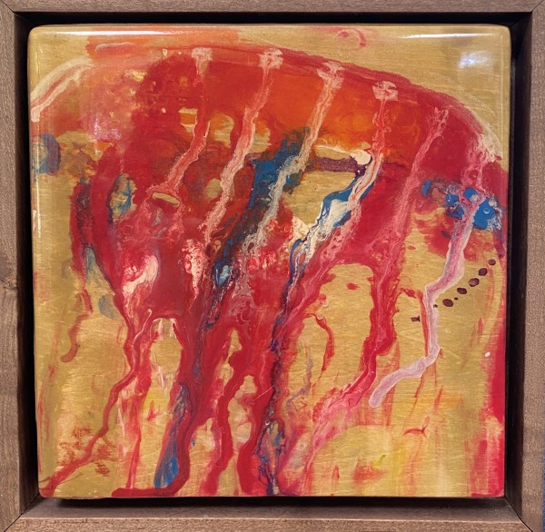 Planet Jelly by Sue Warhaftig