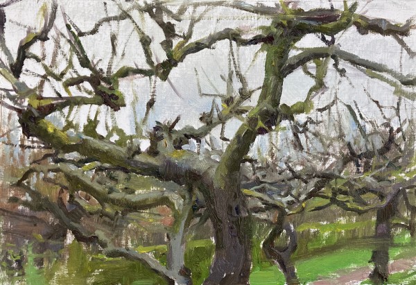 Appelbomen bij Oudendijk, Warffum by Anna Maria Vargiu