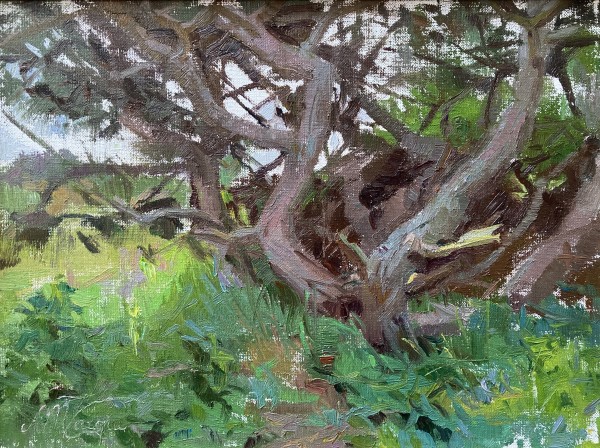 Pijnbomen bij Noordwijk by Anna Maria Vargiu
