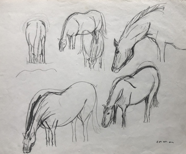 Horse sketches in the pasture by CORCORAN