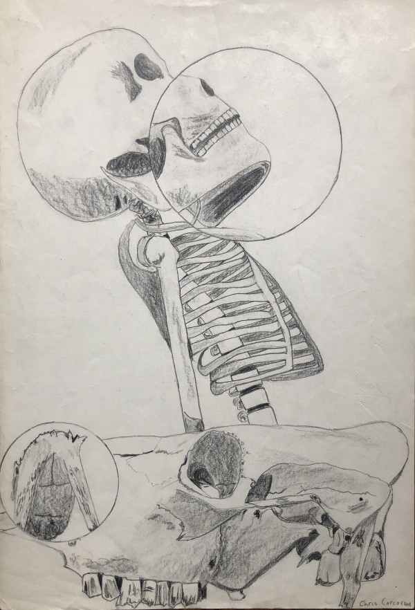Skulls & Bones by CORCORAN