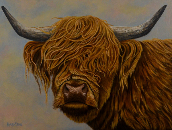 Buttercup the Highland Cow by Kendra Stone