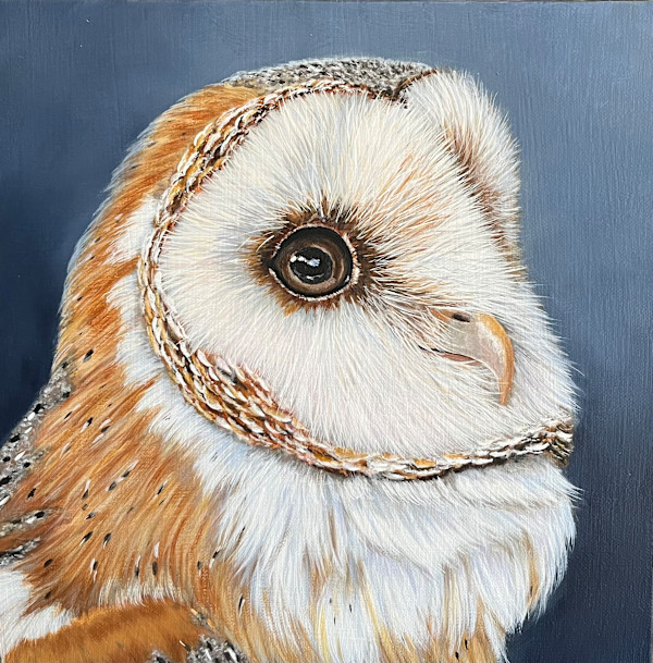 Gilly Wise the Barn Owl by Kendra Stone