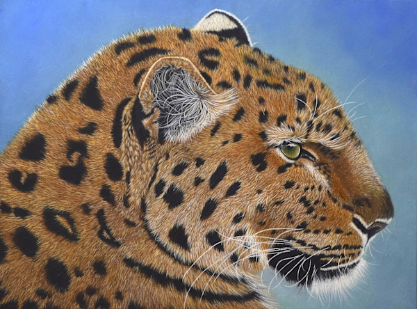 Leopard by Kendra Stone, Image 1.