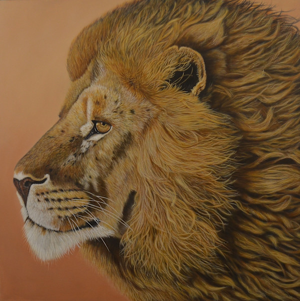 Gaze of the Wild by Kendra Stone