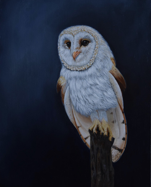 Night Owl by Kendra Stone