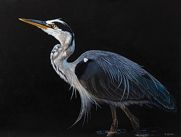 Night Watch by Kendra Stone