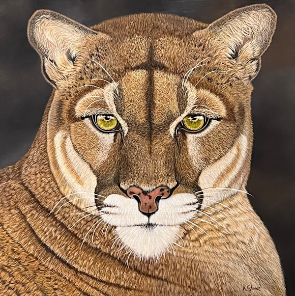 Puma In Repose by Kendra Stone