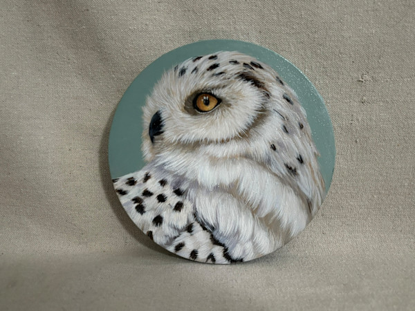 Snowy Owl by Kendra Stone, Image 1.
