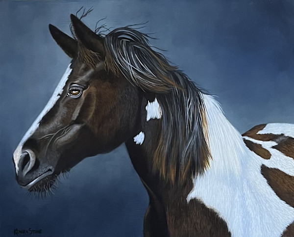 American Mustang Study by Kendra Stone
