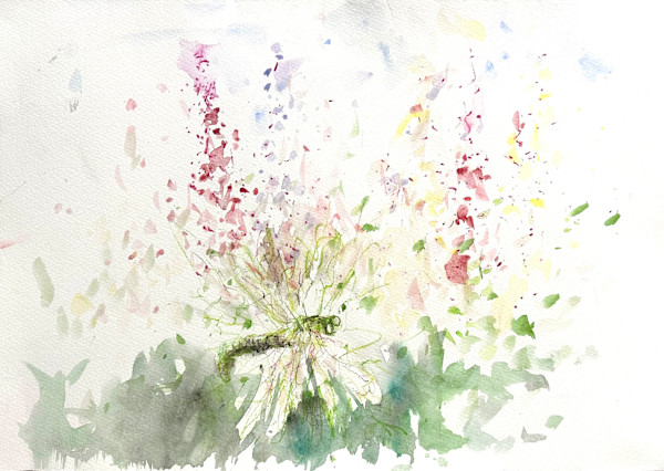 Dragonfly and Salvias (Emmetts Gardens) by Debbie  Farquharson