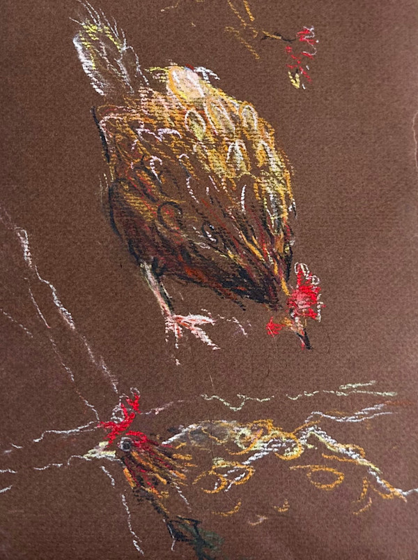 Rescue chickens at Seal School by Debbie  Farquharson, Image 1.