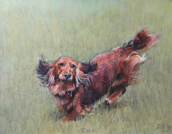 Daschund acrylic portrait by Debbie  Farquharson, Image 1.