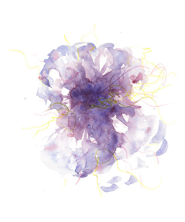 Purple Rhodo by Debbie  Farquharson