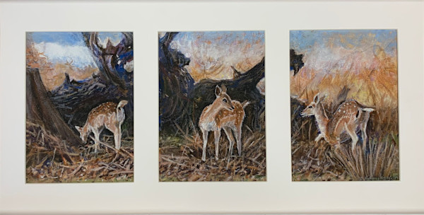 Three Deer in Knole Park by Debbie  Farquharson