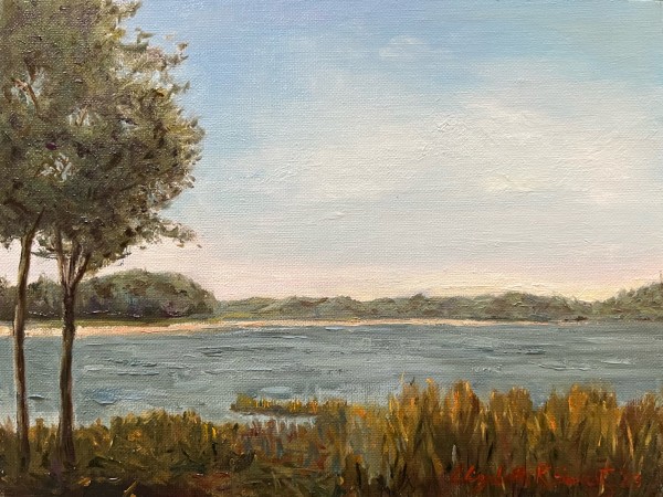 The Bay by Elizabeth Ryan Swartz