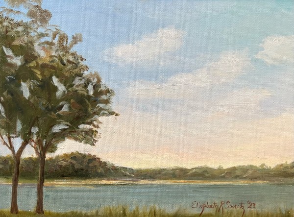 Looking Over the Bay by Elizabeth Ryan Swartz