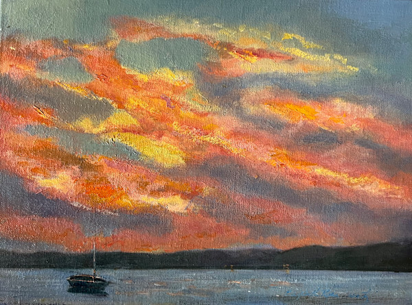 Sky Fire by Elizabeth Ryan Swartz