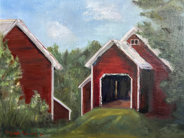 Summer Sunshine on the Big Red Barn - Waitsfield, Vermont by Elizabeth Ryan Swartz