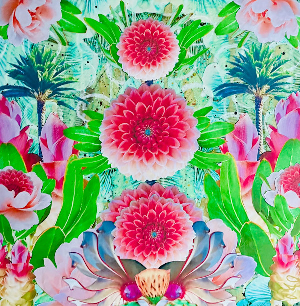 Blooms by Cristina Sayers