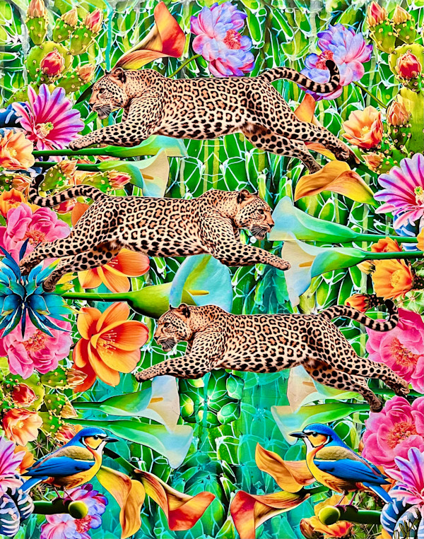 Jungle Boogie by Cristina Sayers