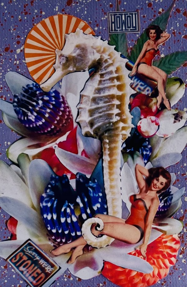 Howdy Seahorse by Cristina Sayers