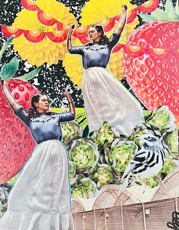 Lettuce Groove by Cristina Sayers