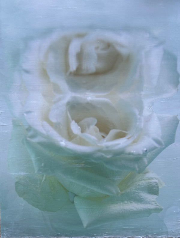Jean, Veiled in Light by Saltwater Fine Art | Susan J Roche, artist