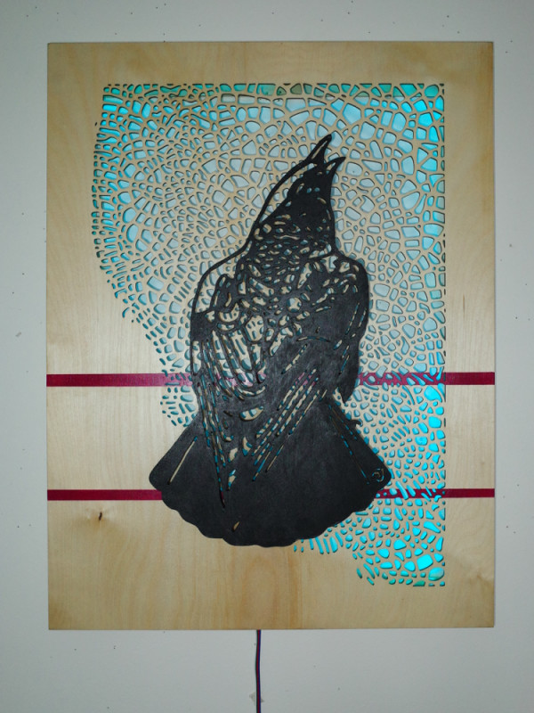 Crackle Crow by Mark Johnston
