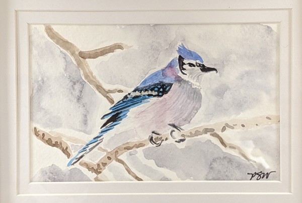Jay by Phyllis Willey