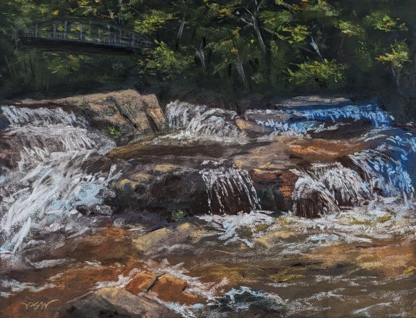 Jackson Falls in June by Phyllis S. Willey