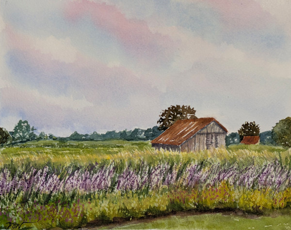 One Fine Day in August by Phyllis S. Willey