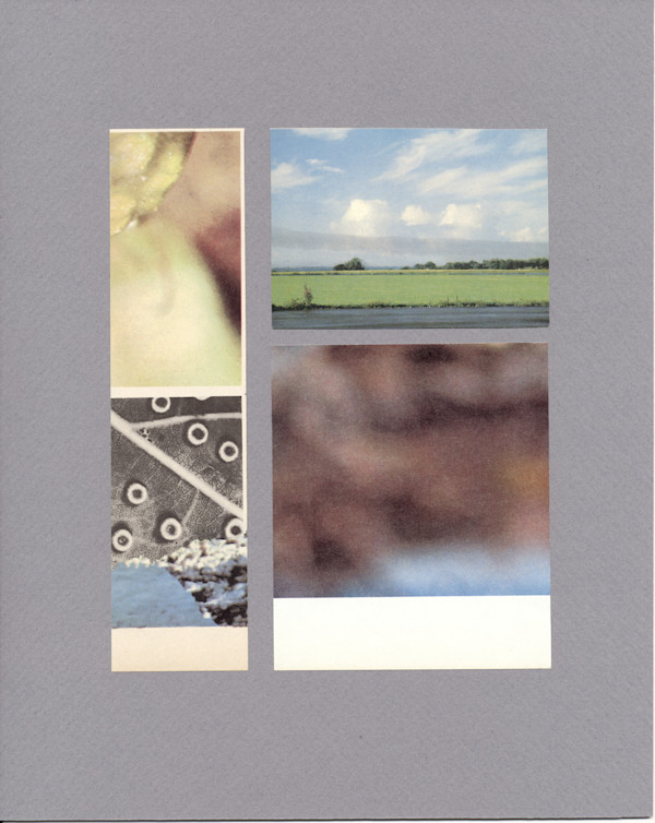 greyhound by Corrina Ulrich, Image 1.