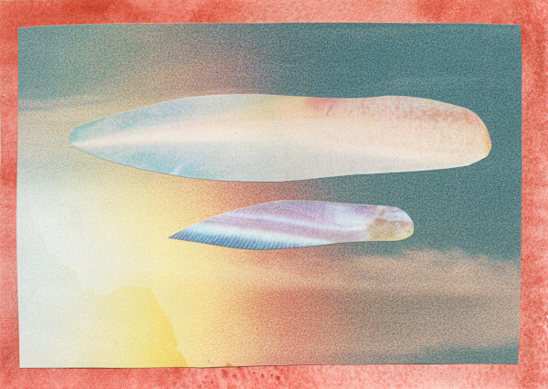 swim by Corrina Ulrich