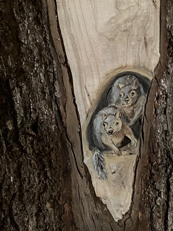 Squirrel nest by Jean Cooper