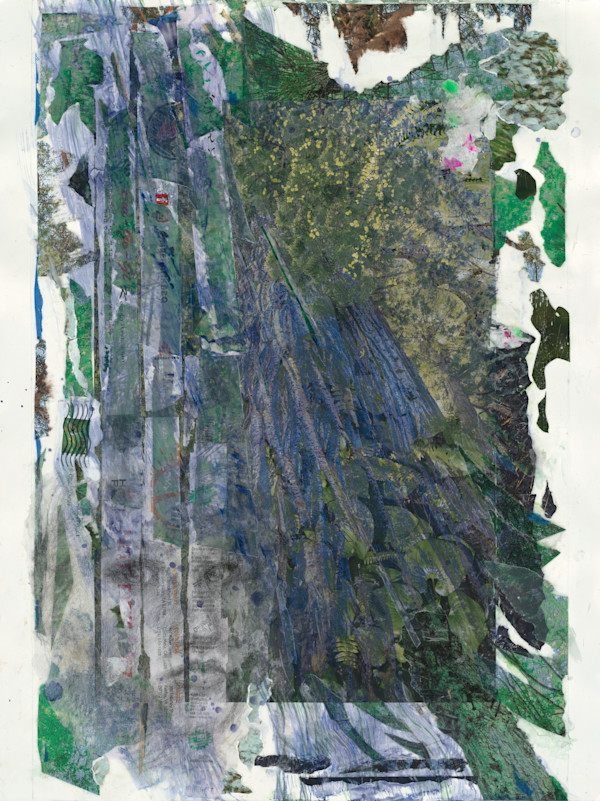 Bluest redwood by Kate Brogdon