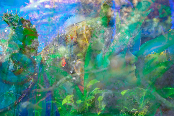 Ily with magical cacti by Kate Brogdon