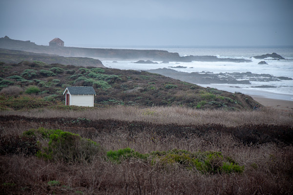 Blustery day in San Simeon by Kate Brogdon