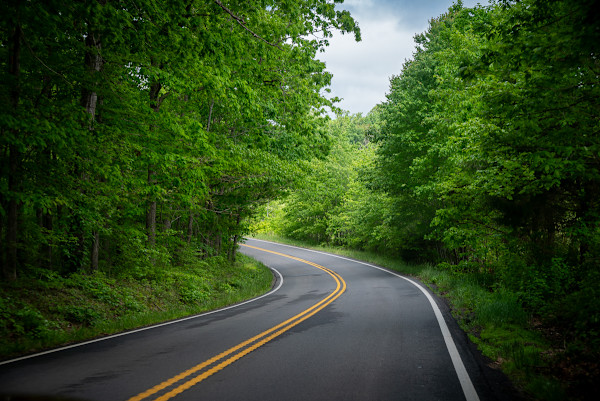 Winding road by Kate Brogdon