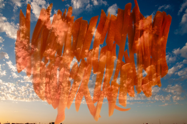 Supremacy of carrots by Kate Brogdon