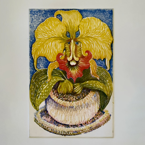 Strange Botany:  Strange Orchid 2/6 by Charles H. Stinson