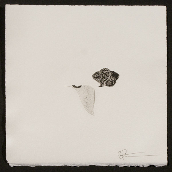 Indeterminance 20121020-1604 by Charles H. Stinson