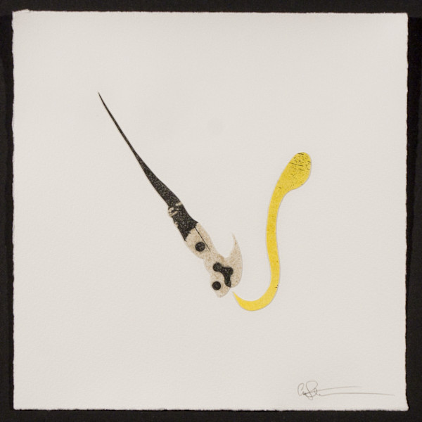 Indeterminance 20121020-1557 by Charles H. Stinson