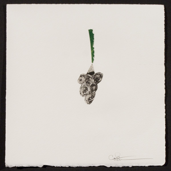 Indeterminance 20121020-1510 by Charles H. Stinson