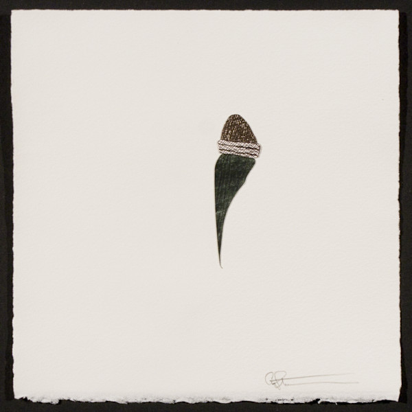 Indeterminance 20121020-1541 by Charles H. Stinson