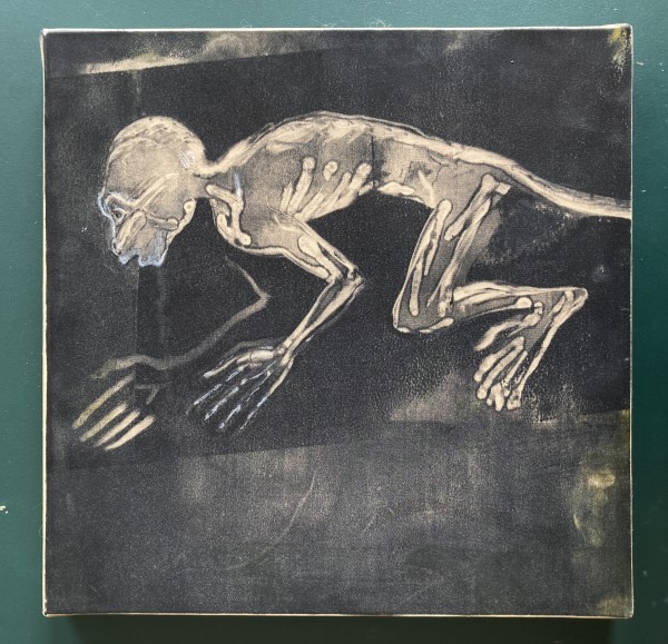 Skeletal Primate (0216) by Mary Frank