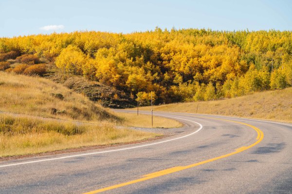 Autumn // 8 by Dylan James Lockard