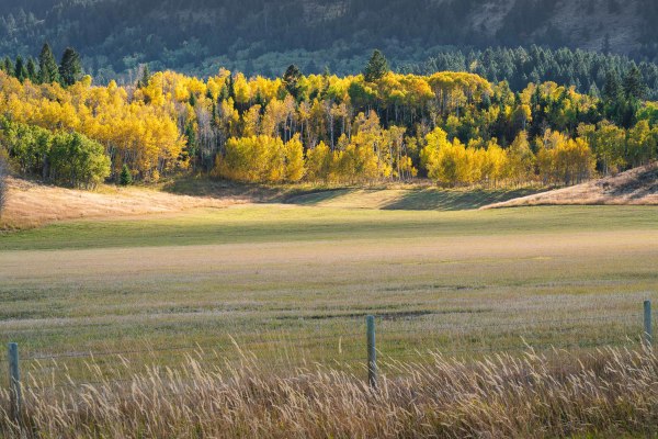 Autumn // 7 by Dylan James Lockard