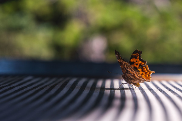 Life // 4 by Dylan James Lockard